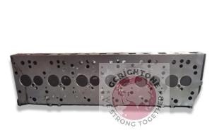 道灌 1019001016070-1.jpg